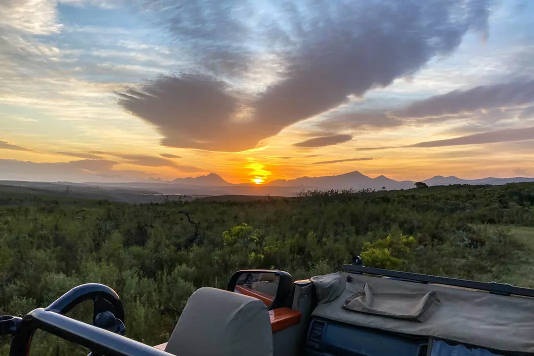 Sonnenuntergangstour für deine Safari in Südafrika buchen