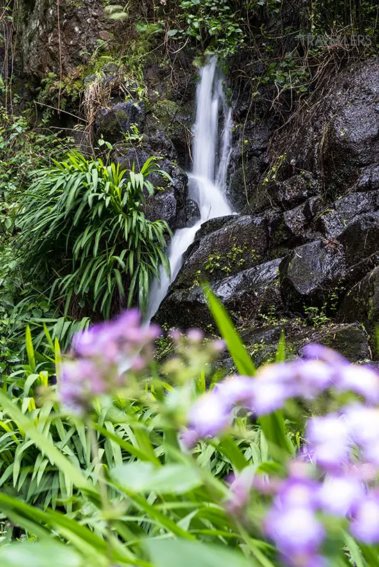 Ein kleiner Wasserfall im Urwald von La Gomera