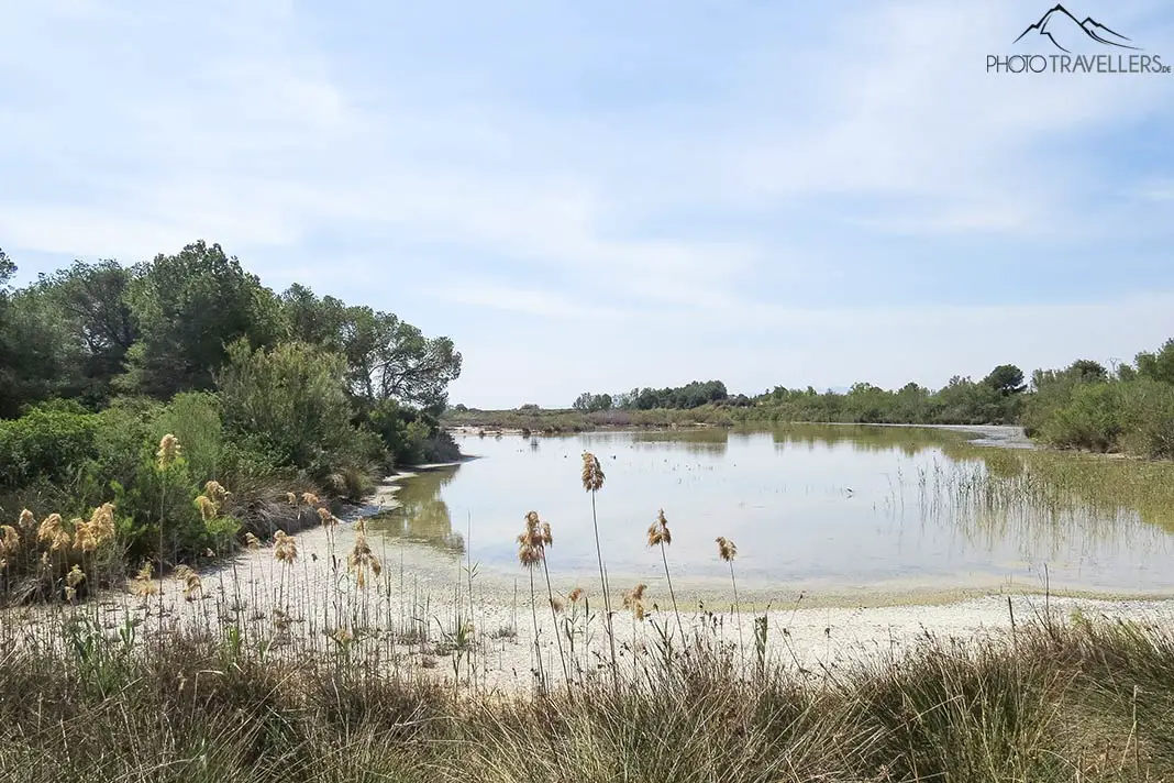 Eine Lagune im Parc Natural de l’Albufera de València