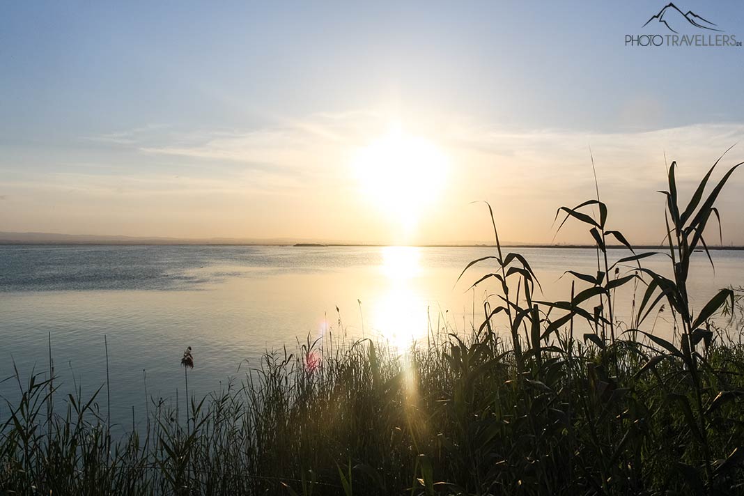 Sonnenuntergang über einem der Reisfelder im Naturpark Albufera