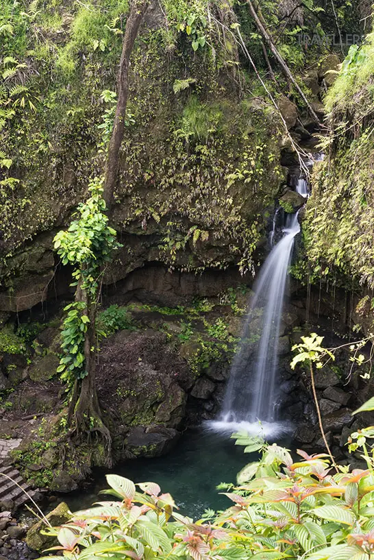 Der Blick durch Pflanzen auf den Emerald Pool auf Dominica