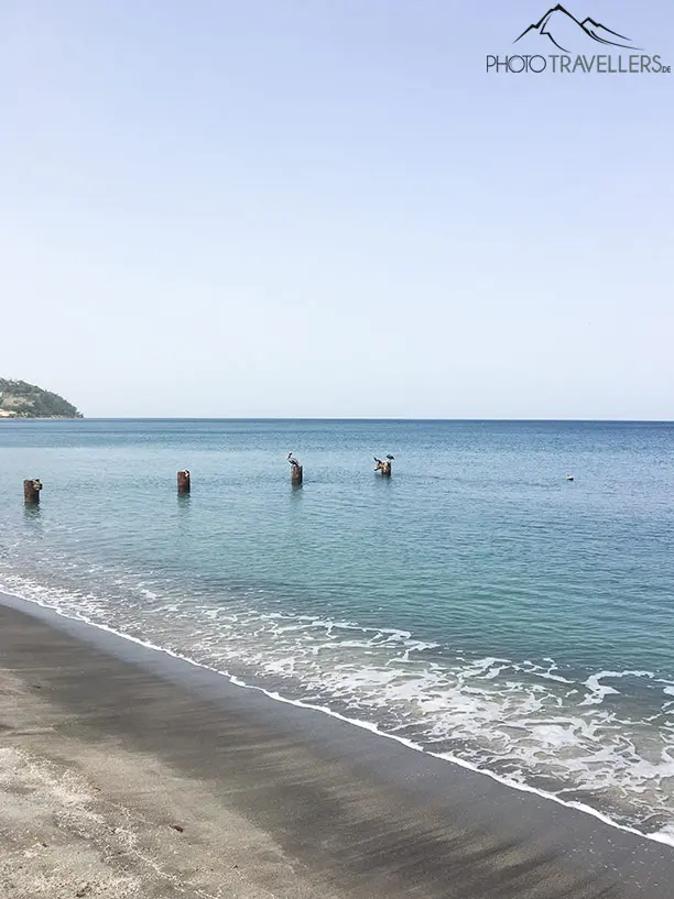 Pelikane am Mero Beach