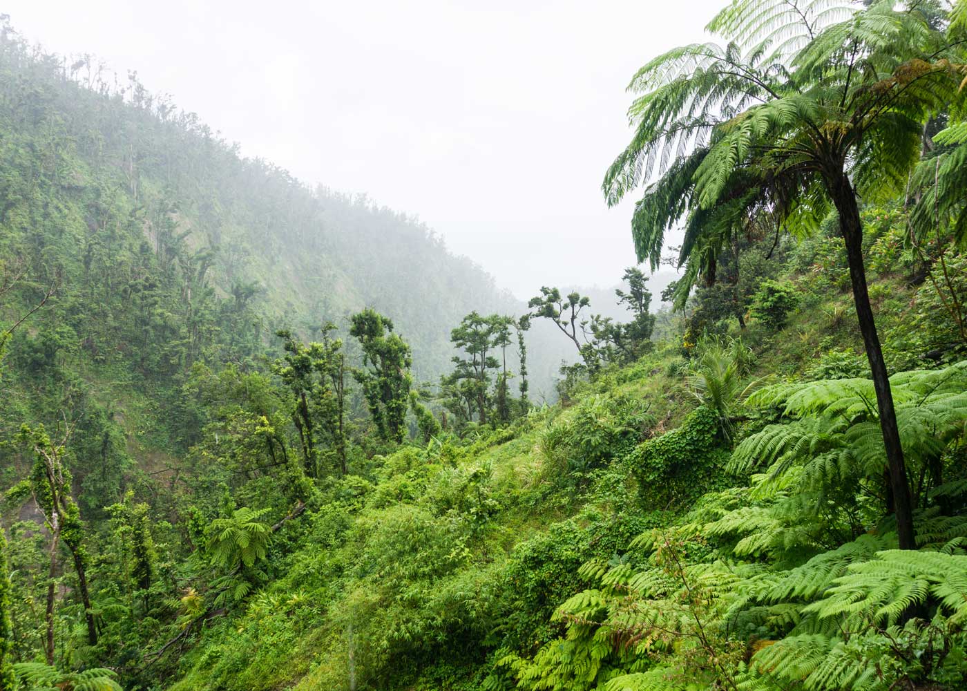 Die schönsten Sehenswürdigkeiten auf Dominica