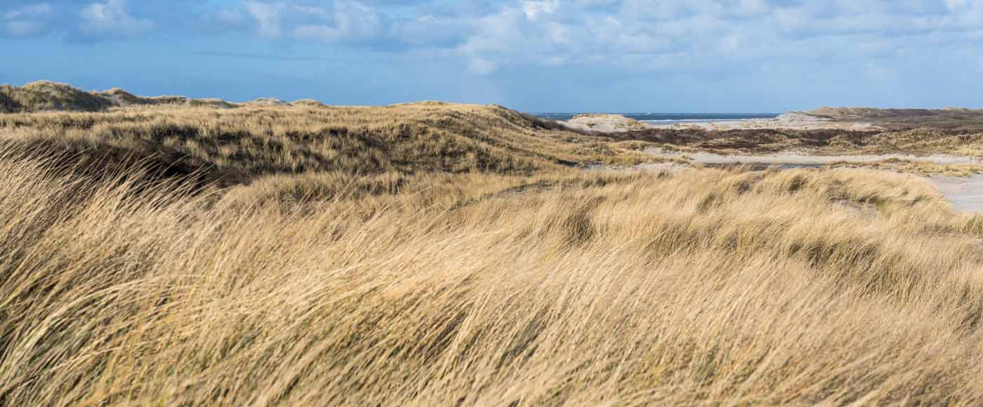 Highlights und Sehenswürdigkeiten in den Niederlanden