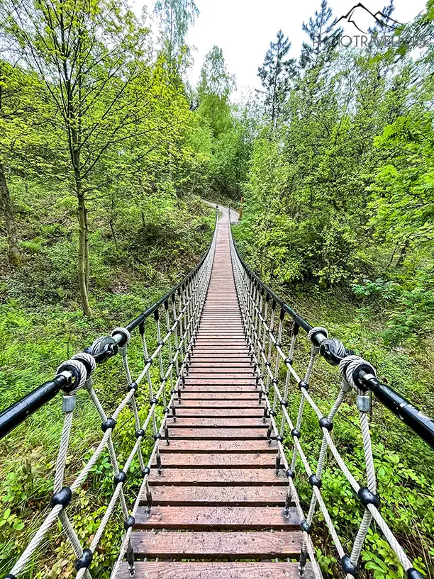 Diese Hängebrücke ist im Weltwald Harz für die Kinder eine riesige Attraktion