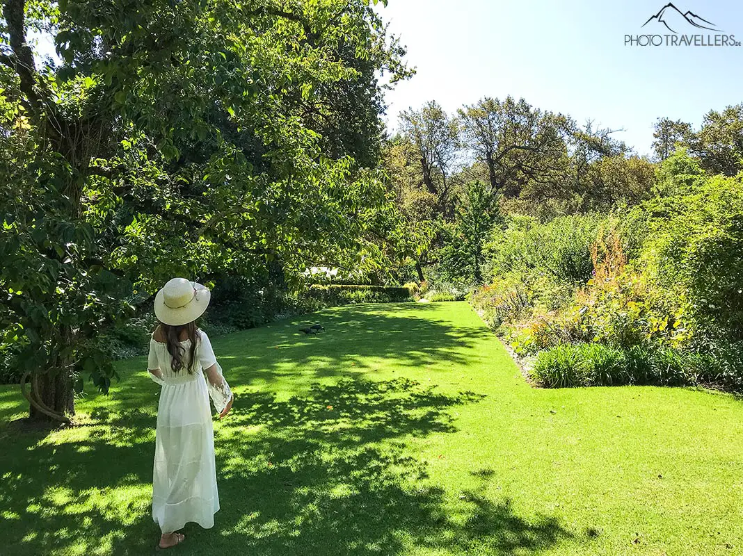 Im botanischen Garten Kirstenbosch kannst du einen ganzen Tag verbringen