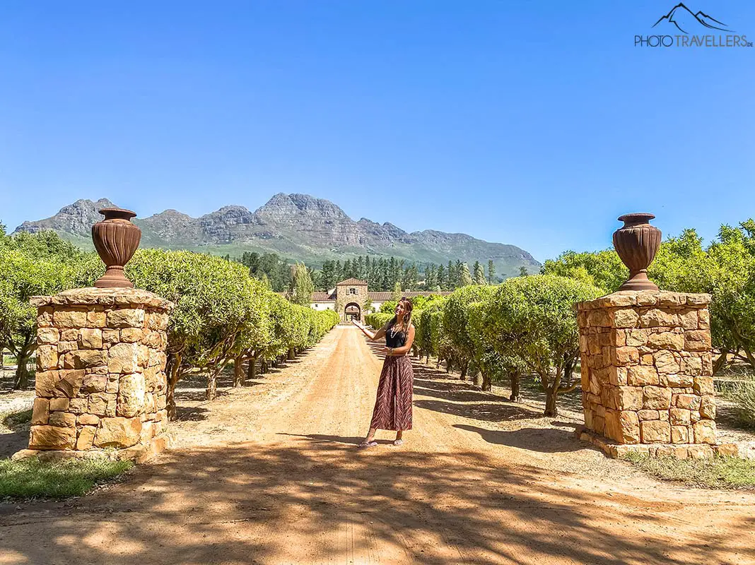 Eines der schönsten Weingüter der Welt, das Waterford Wine Estate in Stellenbosch