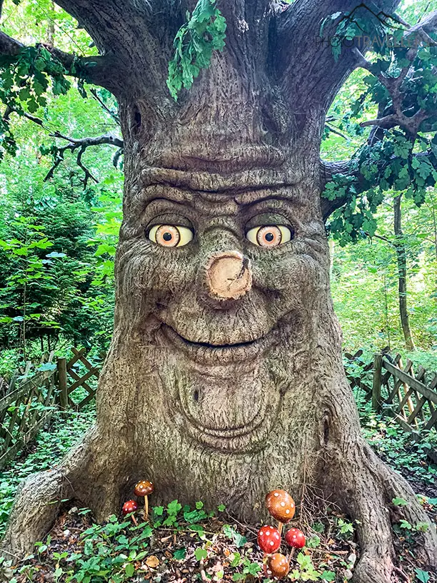 Baum im Märchenwald