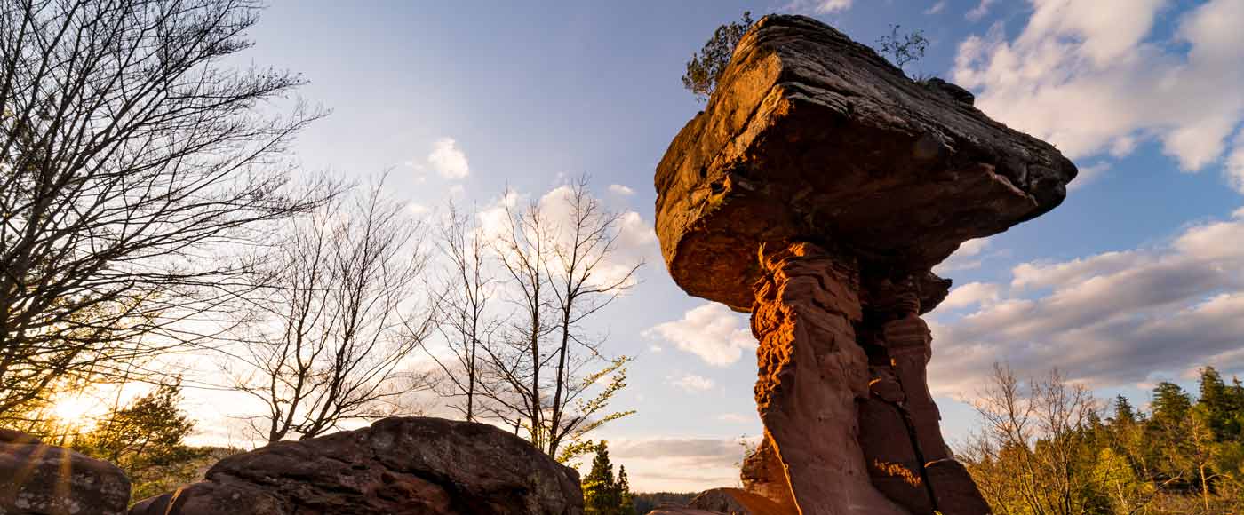 Die schönsten Wanderungen im Pfälzerwald