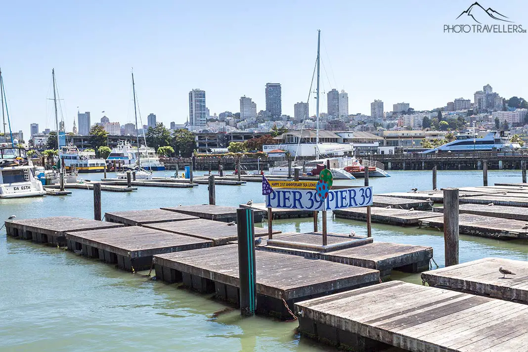 The Pier 39 in the San Francisco harbor
with the famous sea lions
