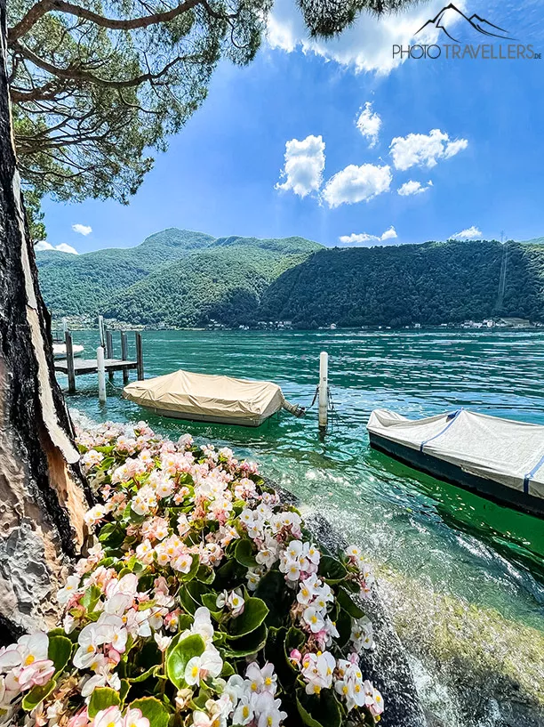 Boote im Luganersee bei Morcote