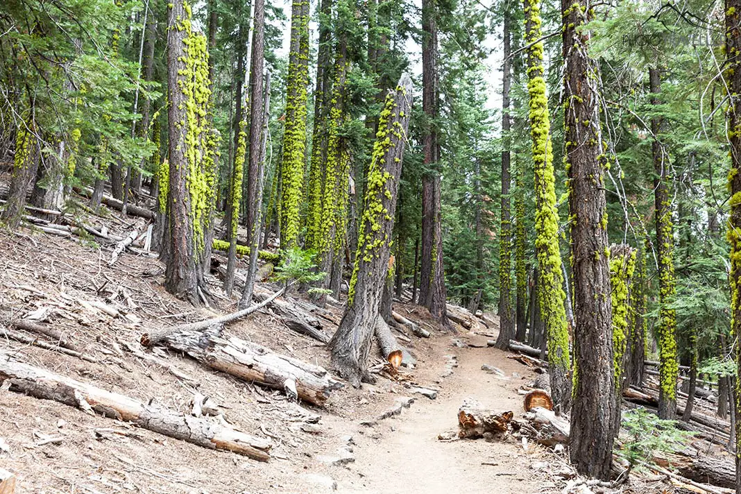 Der Panorama Trail im Yosemite Nationalpark
