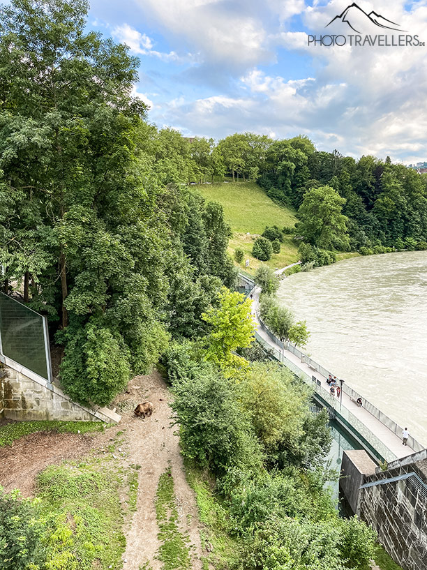 Blick von oben in den Bärengraben in Bern