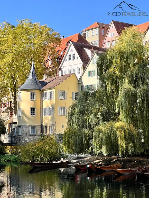 Die Stocherkähne in Tübingen