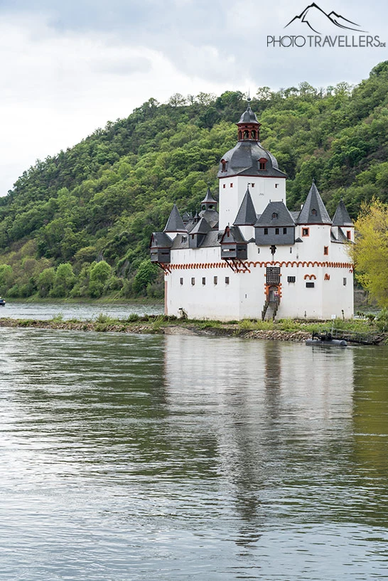 Die Burg Pfalzgrafenstein