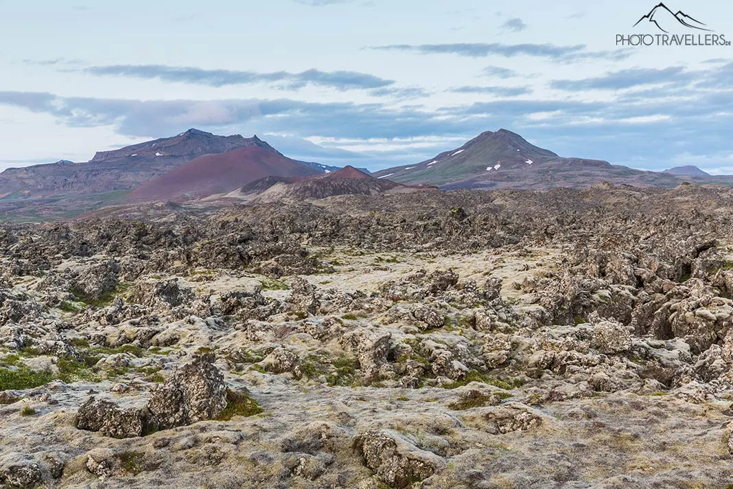 Eine Vulkanlandschaft auf den Westfjorden auf Island