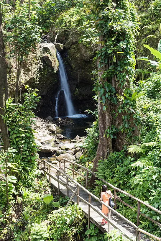 Die schönsten Wasserfälle auf Dominica