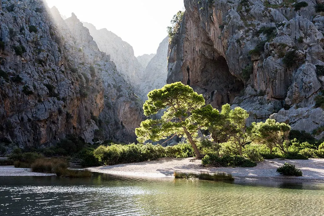 Die schönsten Fotospots auf Mallorca