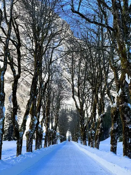 Der verschneite Winterwanderweg im Oytal