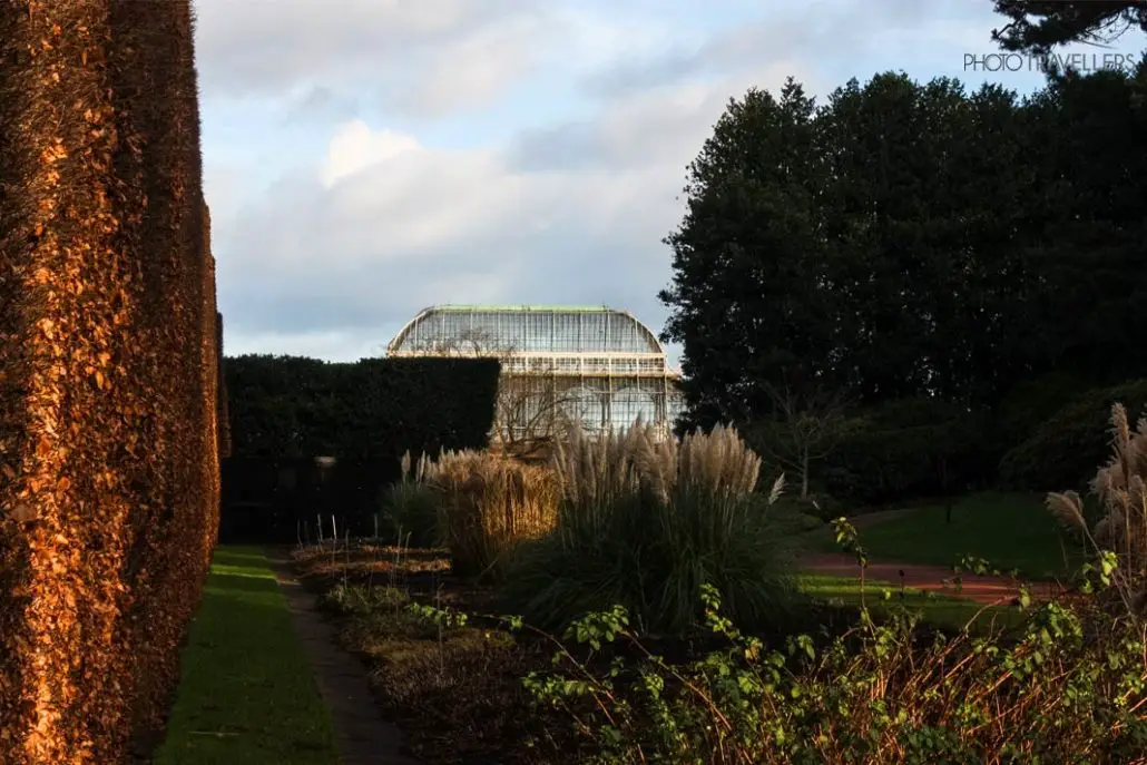 The Palm House at the Royal Botanical Garden
