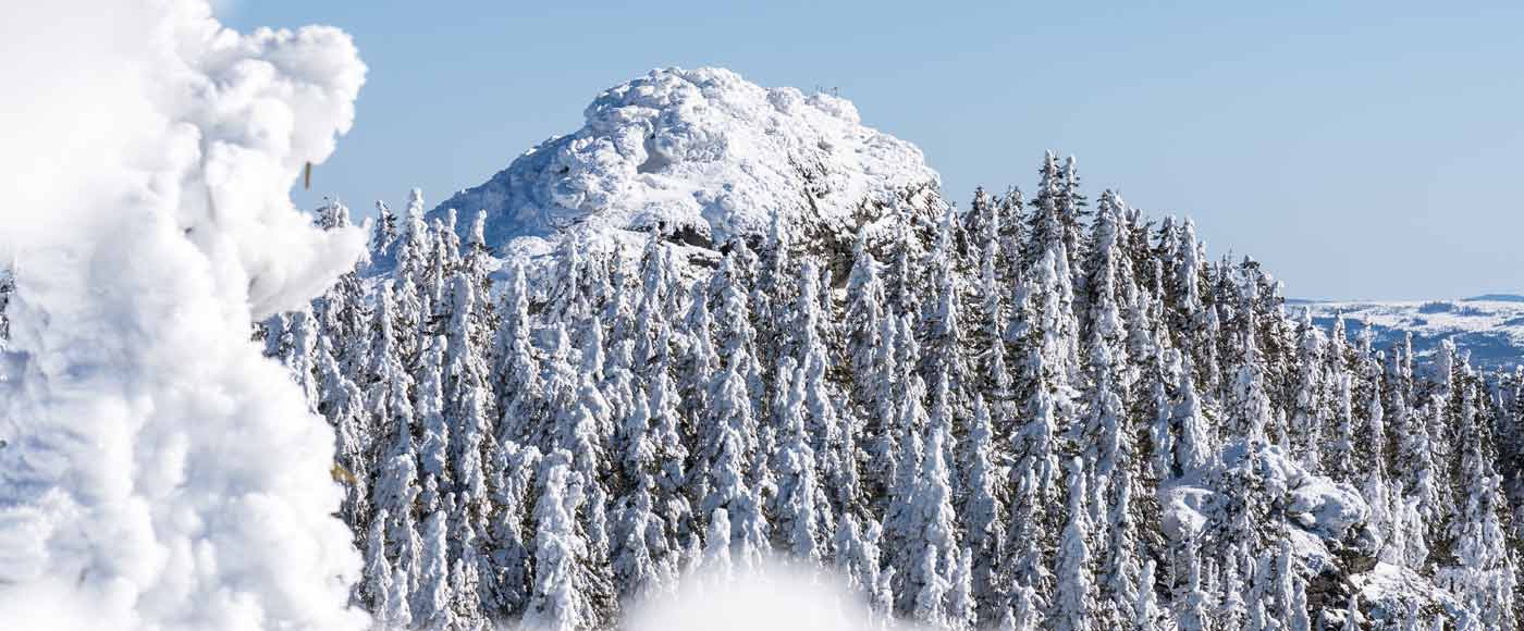 Alle Infos zur Wanderung im Winter auf den Großen Arber im Winter