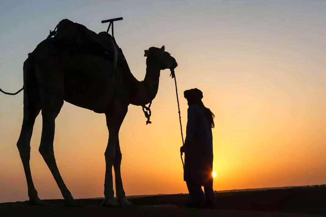 Camel und Reiter in der Wüste in Marokko