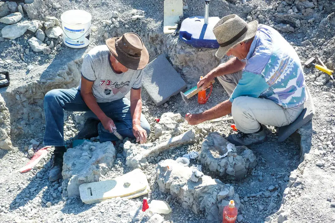 Zwei Wissenschaftler bei einer Ausgrabungsstelle im Dinosaurierpark