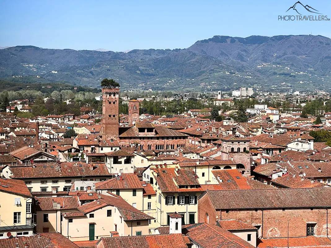 Der Blick vom Glockenturm der Cattedrale di San Martino über Lucca