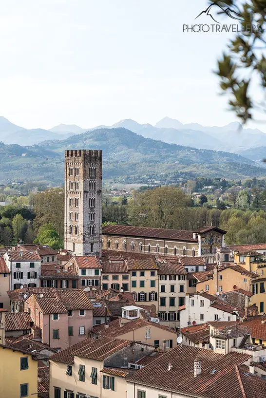 Der Blick über Lucca und in die Berge vom Guinigiturm