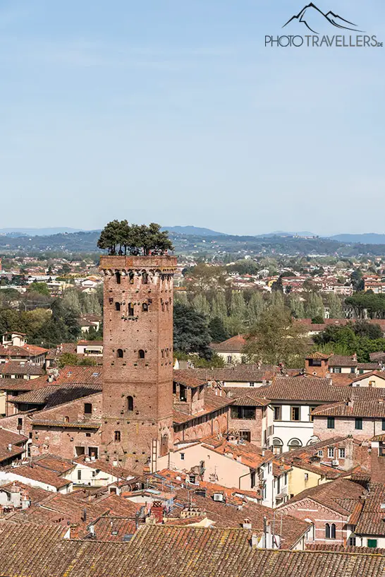Der Blick auf den Guinigiturm in Lucca