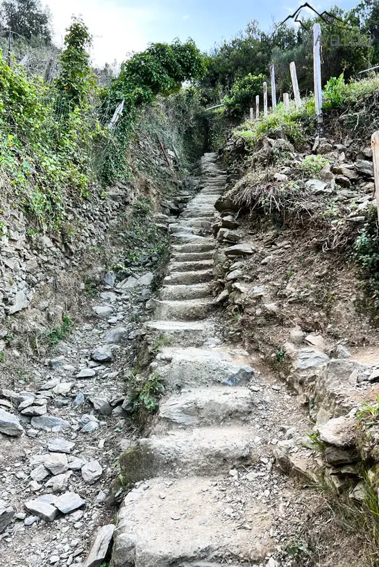 Eine steile Treppe auf dem Wanderweg des Sentiero Azzurro