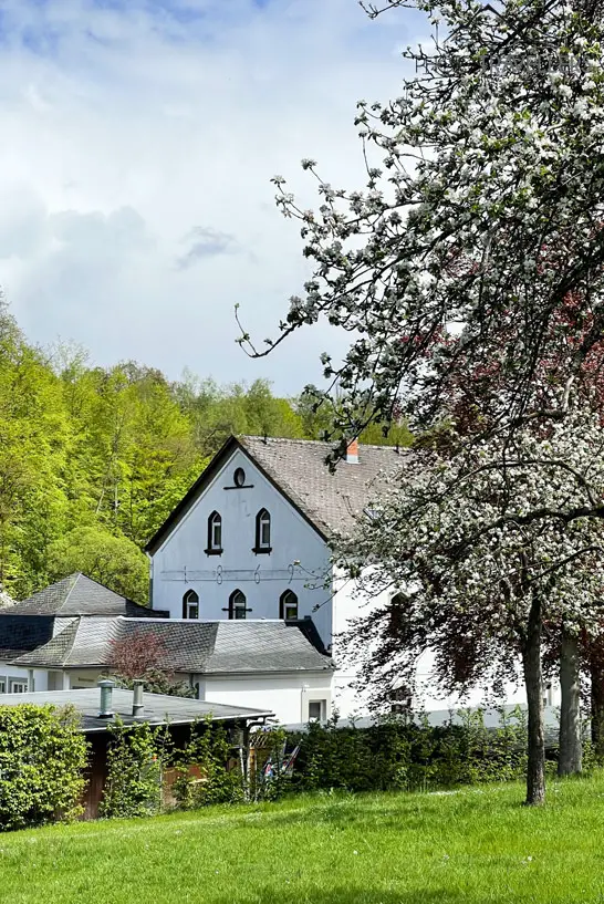 Blühende Bäume und im Hintergrund das Brauhaus der Abtei Marienstatt