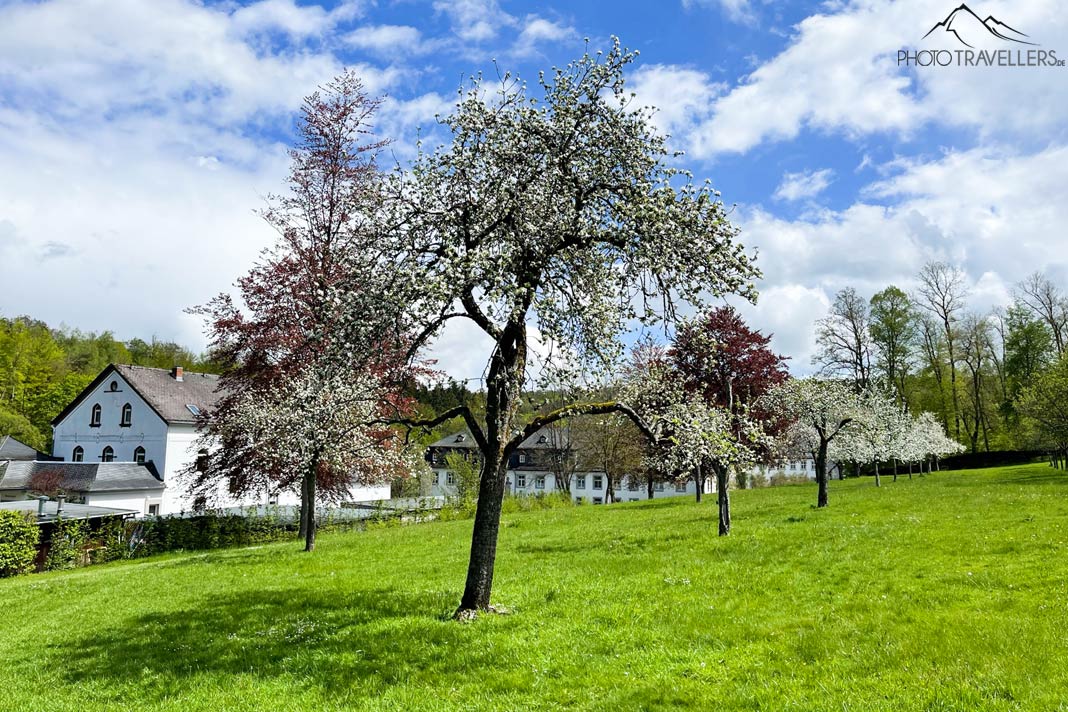 Die Abtei Marienstatt im Westerwald