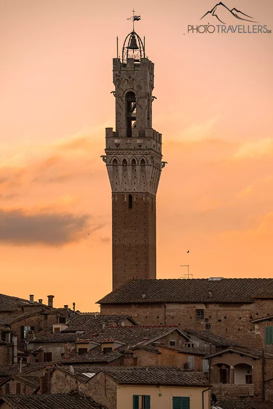 Der Torre del Mangia in Siena im Morgenlicht