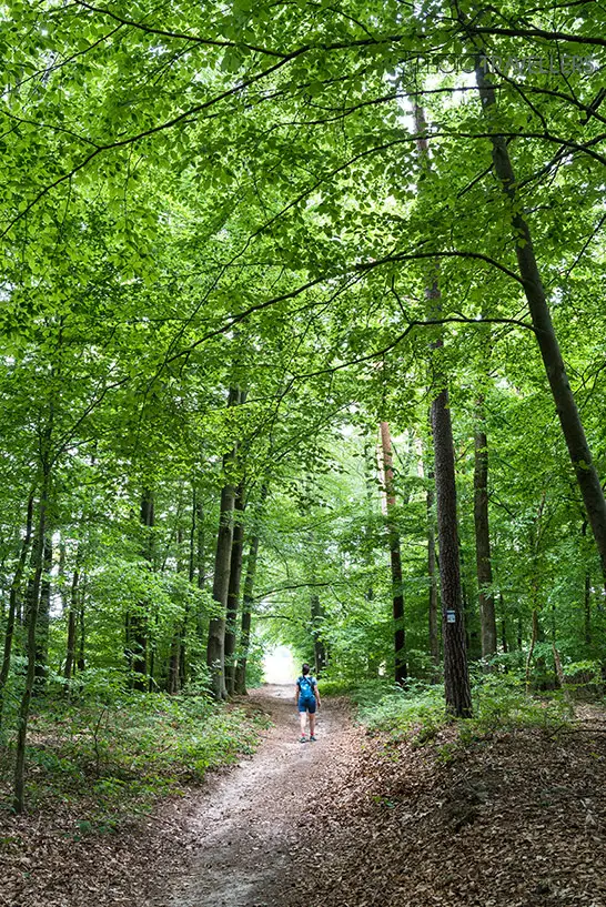 Reisebloggerin Biggi Bauer auf dem Frankenwaldsteigla Entlang der Marter im Wald