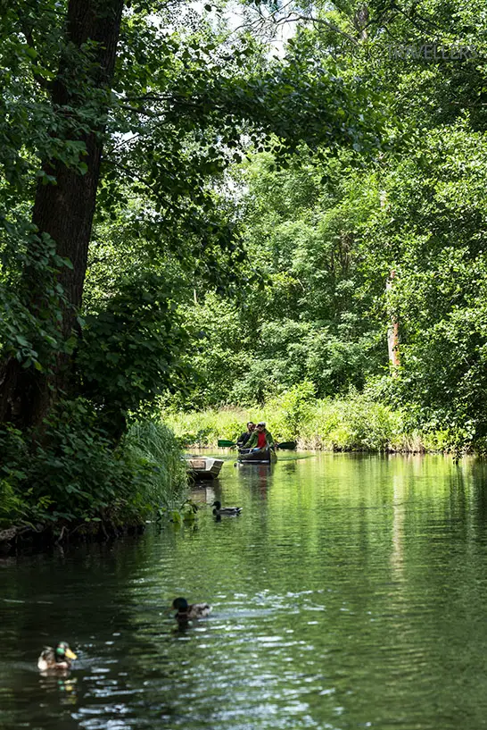 Ein Kanu im Spreewald
