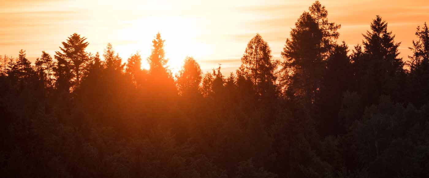 Die schönsten Wanderungen im Frankenwald