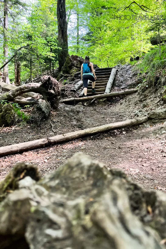 Biggi auf einer Treppe im Wald auf dem Wanderweg zum Jochberg
