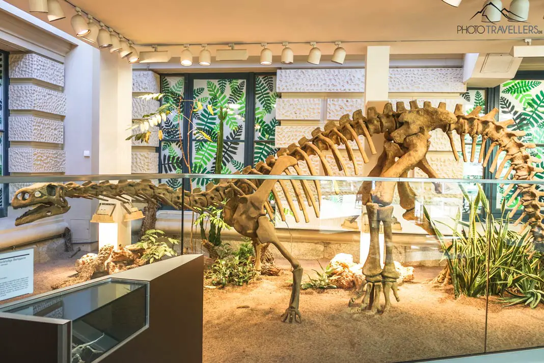 Ein Dinosaurier-Skelett in den Naturwelten im Landesmuseum