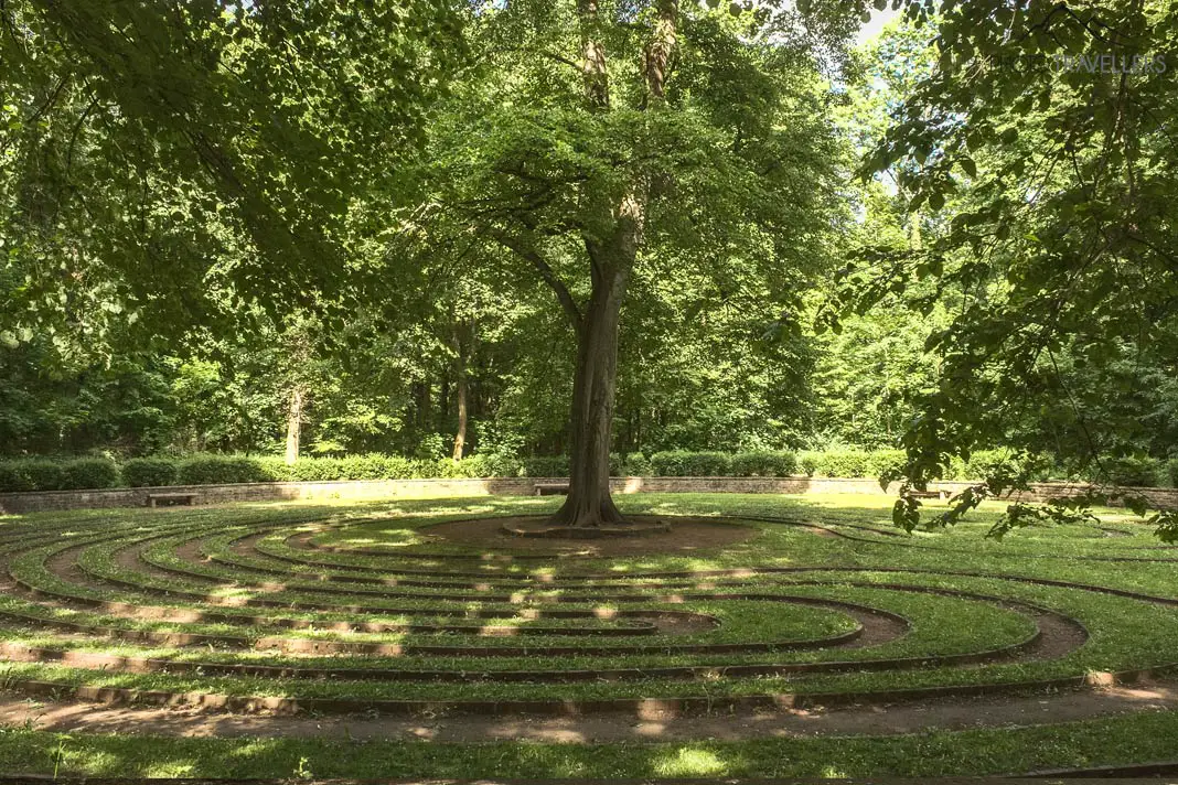 Rasenlabyrinth und Linde im Hannover Stadtwald