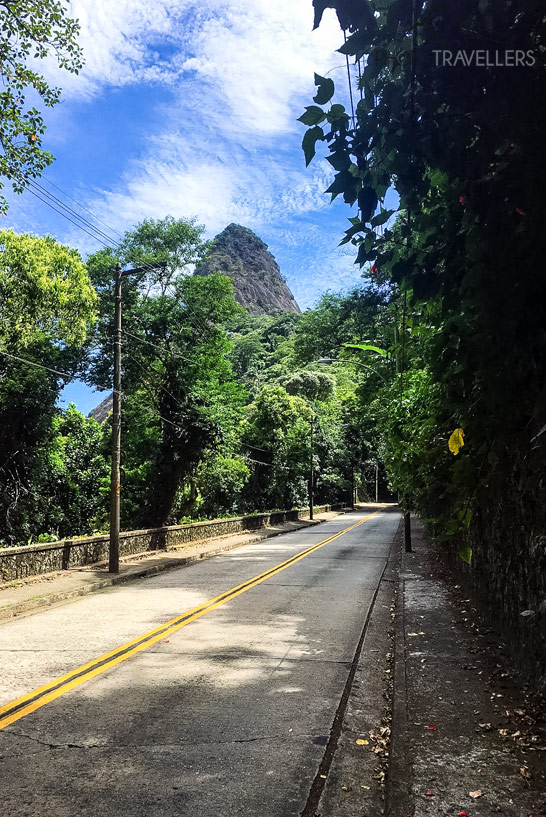 Im Tijuca Nationalpark in Rio de Janeiro