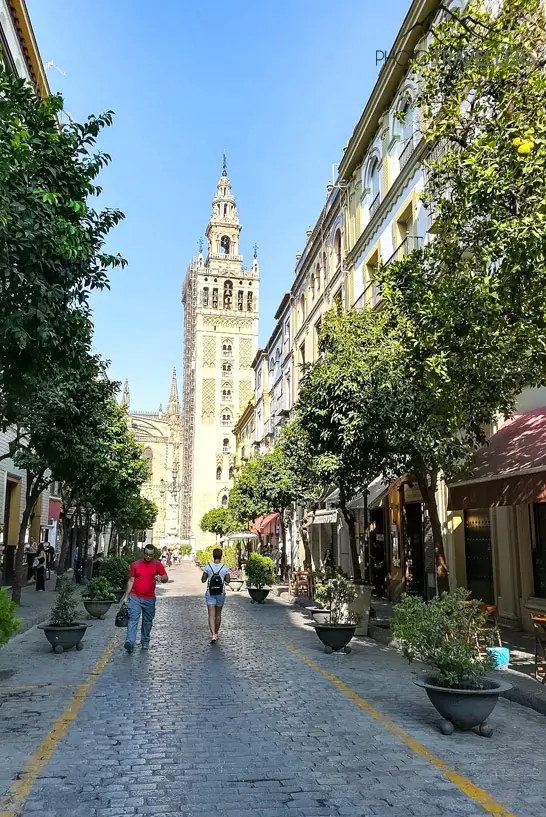 Blick auf den Glockenturm La Giralda in Sevilla