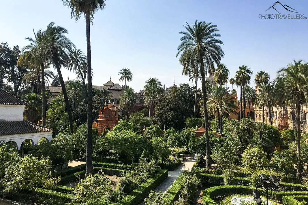 Blick in den Garten des Real Alcázar mit vielen Palmen