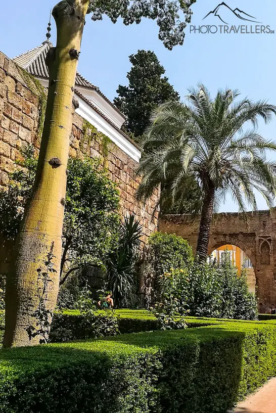 Blick in den Garten des Palastes Real Alcázar