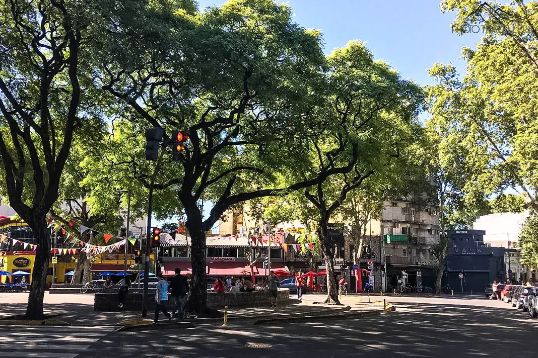 Blick auf die schönen Bäume an der Plaza Serrano im Stadtviertel Palermo in Buenos Aires