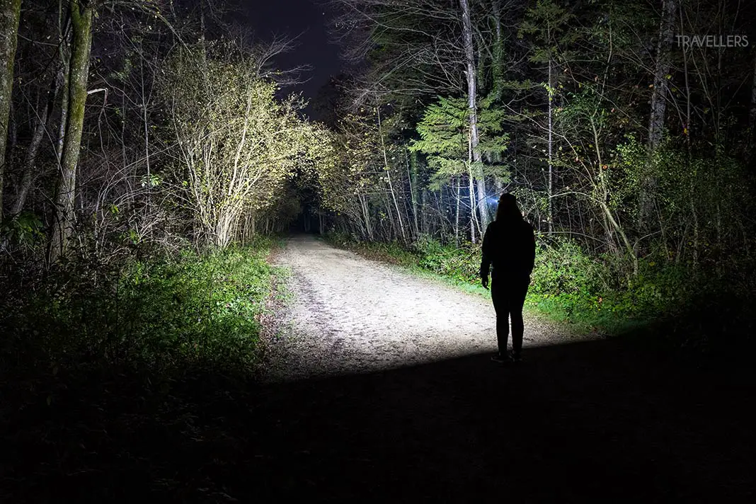 Die Lichtausbeute der Kopflampe Fenix HM61R im Test nachts im Wald