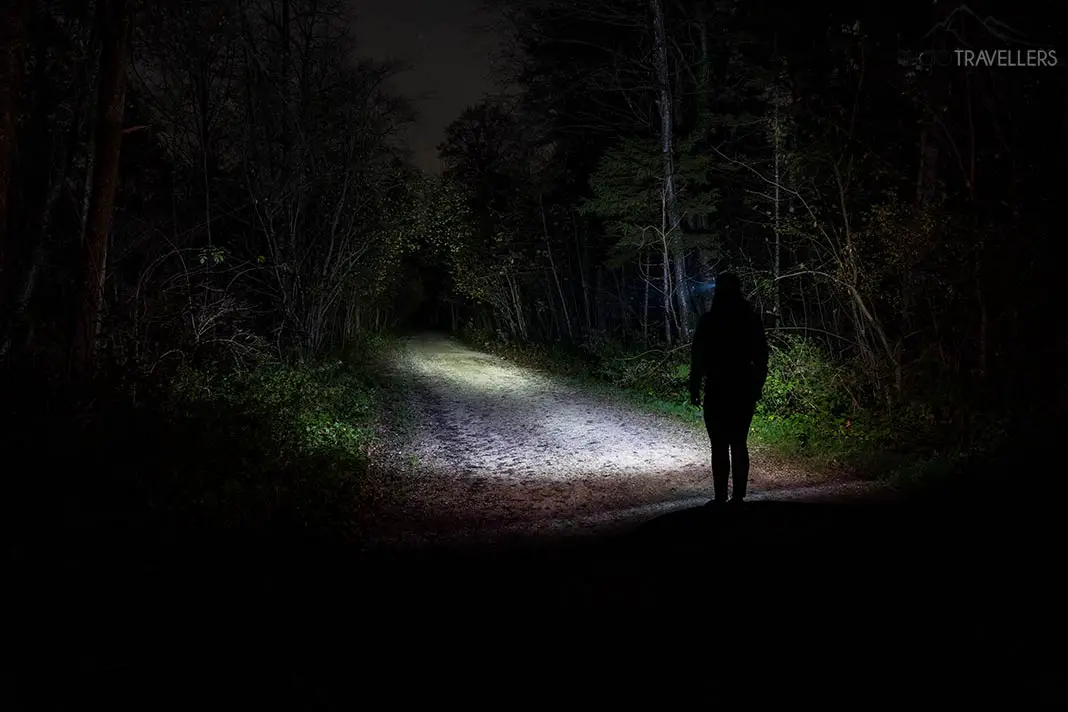 Die Lichtausbeute der Kopfleuchte LE LED Headlamp im Test nachts im Wald
