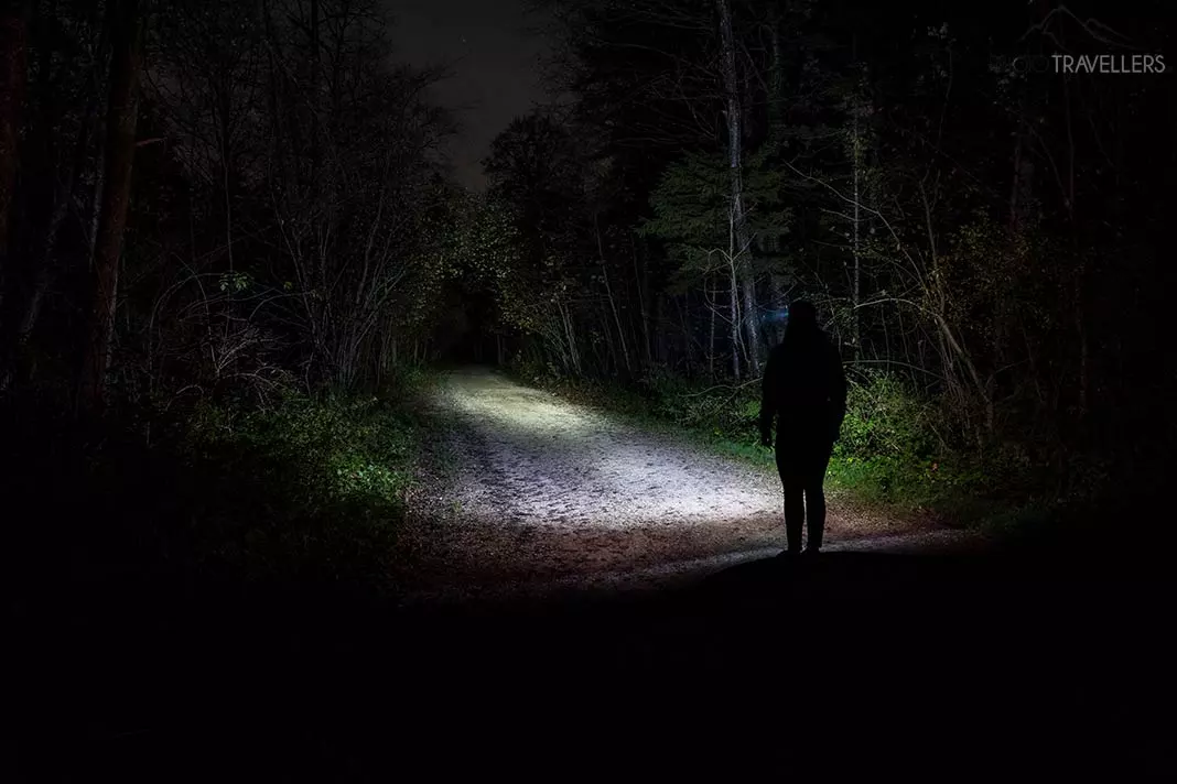 Die Lichtausbeute der Kopfleuchte LE LED Headlamp im Test nachts im Wald