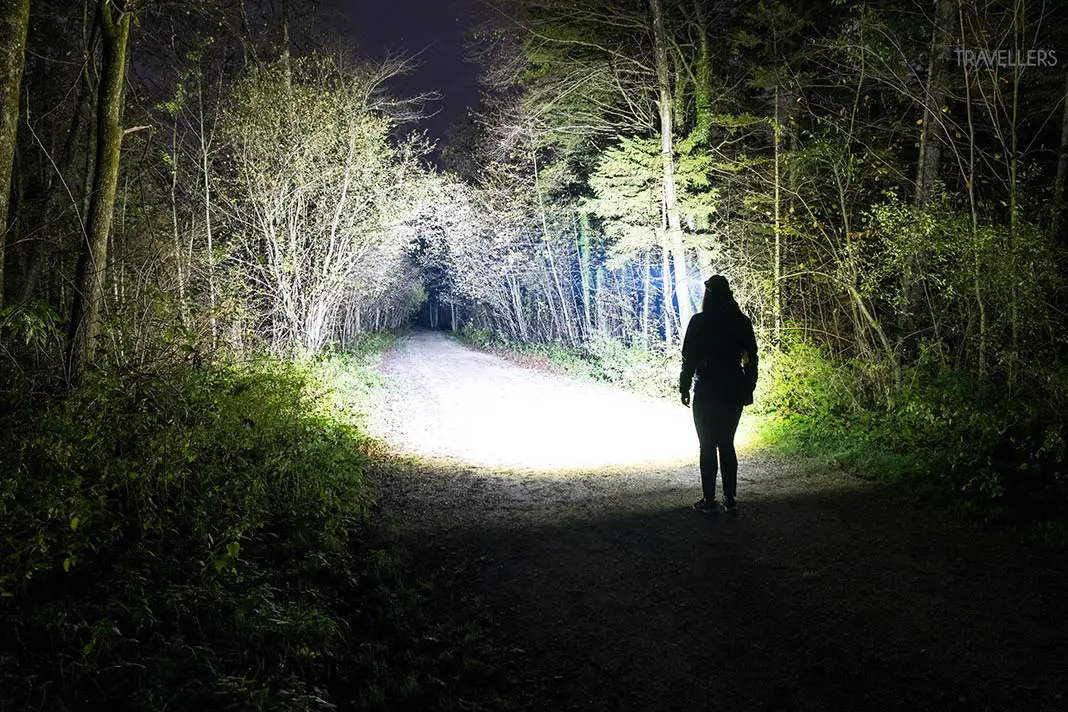 Die Lichtausbeute der Stirnlampe Ledlenser H19R Core im Test nachts im Wald