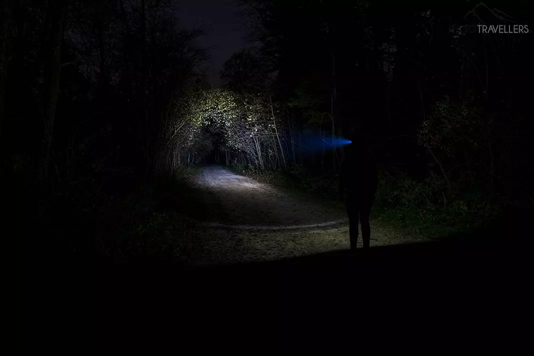 Die Lichtausbeute der Stirnlampe Ledlenser H6R im Test nachts im Wald
